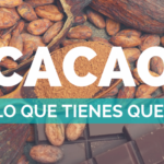 🌱💻 Guía completa de trazabilidad del cacao: ¡Descubre la ruta de tu chocolate favorito!