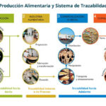 🌾 La guía definitiva de 🌱 trazabilidad agrícola: ¡Descubre cómo optimizar tus procesos!