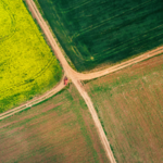 🌿✨ Descubre la importancia de la trazabilidad en la agricultura ecológica: ¡Un camino verde hacia la transparencia!
