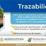 📚💡 ¡Descarga el mejor 📋Manual de Trazabilidad SENASICA! Aprende todo sobre trazabilidad de forma sencilla y eficiente 🌱✅