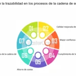 🔍📊✨ ¡Descubre cómo mejorar la trazabilidad en las empresas y optimizar tus procesos!