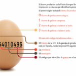 🥚 Descubre la 🕵️‍♀️ trazabilidad de los huevos: todo sobre su origen y calidad