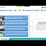 🐮✍️ Descubre cómo mejorar la trazabilidad bovina en Nicaragua: Guía completa en 2021