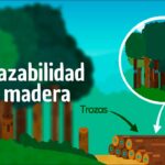 🌳✅ Guía completa de trazabilidad de la madera: cómo garantizar su origen sostenible