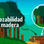🌳🔍 Descubre la trazabilidad de los recursos forestales maderables: la clave para un comercio sostenible