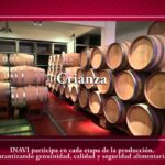 🍷✨ Descubre la importancia de la trazabilidad del vino: ¿cómo garantiza su calidad y origen?